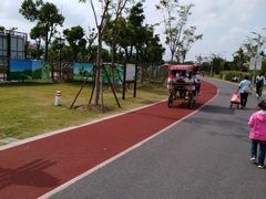 -上海长兴岛郊野公园