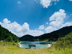 -武陵山森林公园