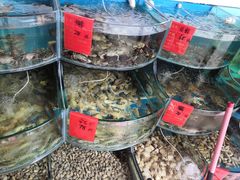 水产区-四海蒸鲜蒸汽海鲜自助(北戴河店)