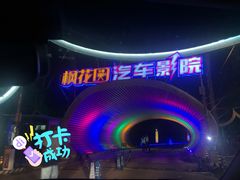 -枫花园汽车电影院(朝阳公园店)