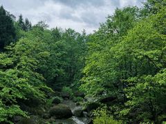 -剑门关风景区