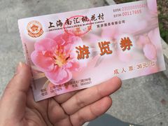 -南汇桃花村