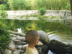 -成都市活水公园