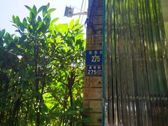 -杨招娣糕点(装驾桥巷店)