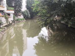 -小洲村