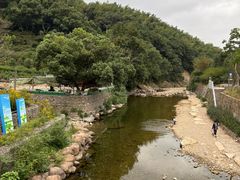 -北仑森林植物园