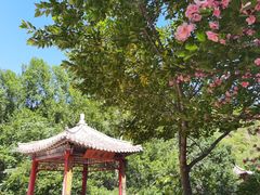 -雾灵西峰