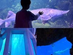 -南昌融创海世界