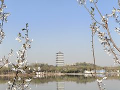 -灞河西岸滨河公园