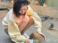 -费瑟代尔野生动物园