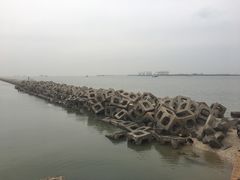 -东疆建设开发纪念公园