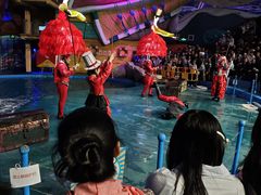 -烟台海昌鲸鲨海洋公园