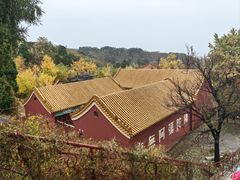 -遵化市禅林寺古银杏风景园