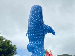 -珠海长隆海洋王国