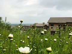 -长白山万达喜来登度假酒店