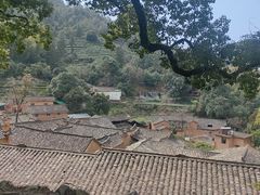-杨家堂村
