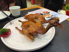-百利鸽王(紫薇路店)