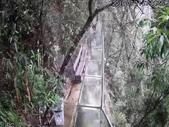 -九龙江国家森林公园