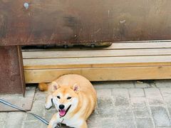 -微焙咖啡工厂(海峡创意产业园·红坊店)