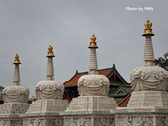 -大召无量寺