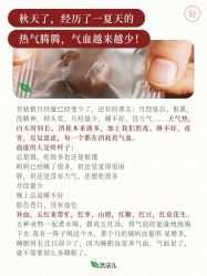 -雅曼妮spa美容养生