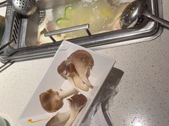 -野妹火锅(龙岗店)