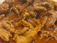 -红辣椒八爪鱼特色韩国料理
