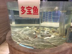 -俏江南(中山路先天下广场店)