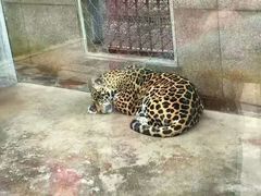 -西安秦岭野生动物园