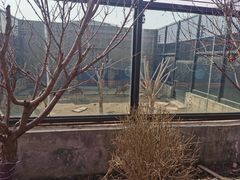 -泉城欧乐堡梦幻世界