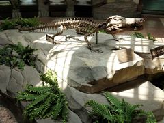 -自贡恐龙博物馆
