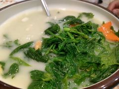 -喜上喜鸡煲翅(吉大店)