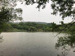 -瀏河老街土菜館(浏河店)