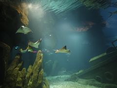 -福州罗源湾海洋世界旅游区