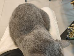 -平行世界·猫咖(首经贸店)