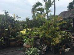 -自然餐厅(Phuket)
