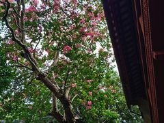 -东山雕花楼