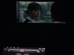 -枫花园汽车电影院(朝阳公园店)