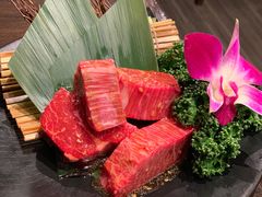 -俺的焼肉(銀座9丁目店)
