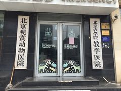-北京观赏动物医院·24小时大型综合·猫专科·异宠专科