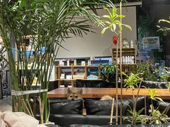 -百好乐宠物友好餐厅(朝外大街店)