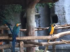 -清迈夜间动物园