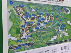 -野象谷景区