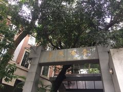 -香港大学