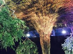 光大会展中心-上海光大会展中心国际大酒店