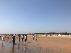 -日照海滨国家森林公园