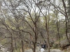 -沂蒙山旅游区云蒙景区(蒙山国家森林公园)