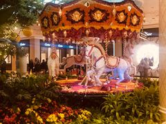 -拉斯维加斯永利酒店