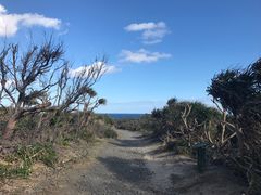 -龙坑生态保护区