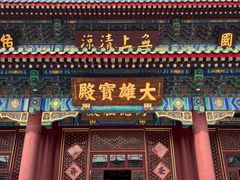 -天津大悲禅院